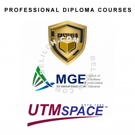 Professional Diploma in Cyber Security